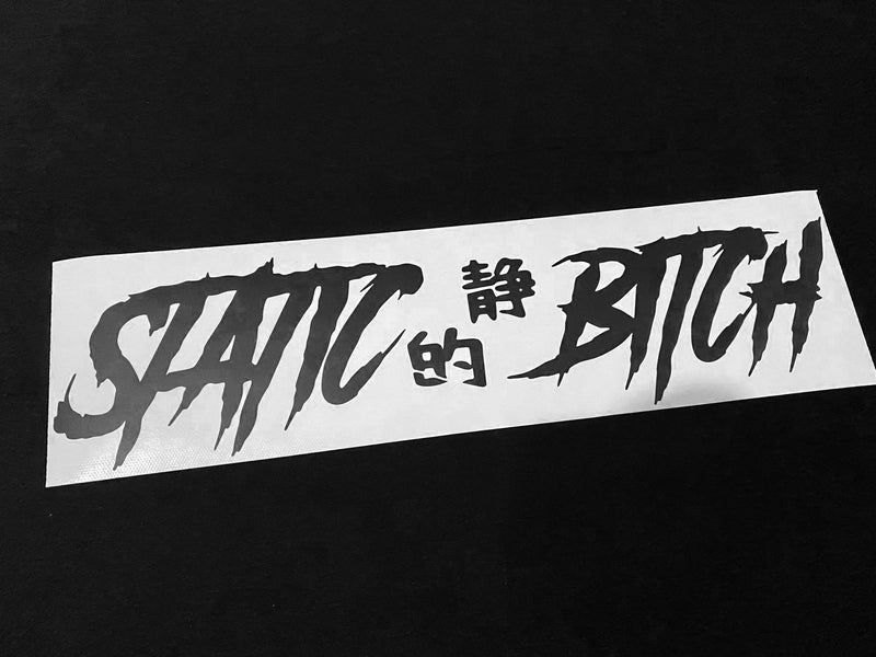 Static Bitch